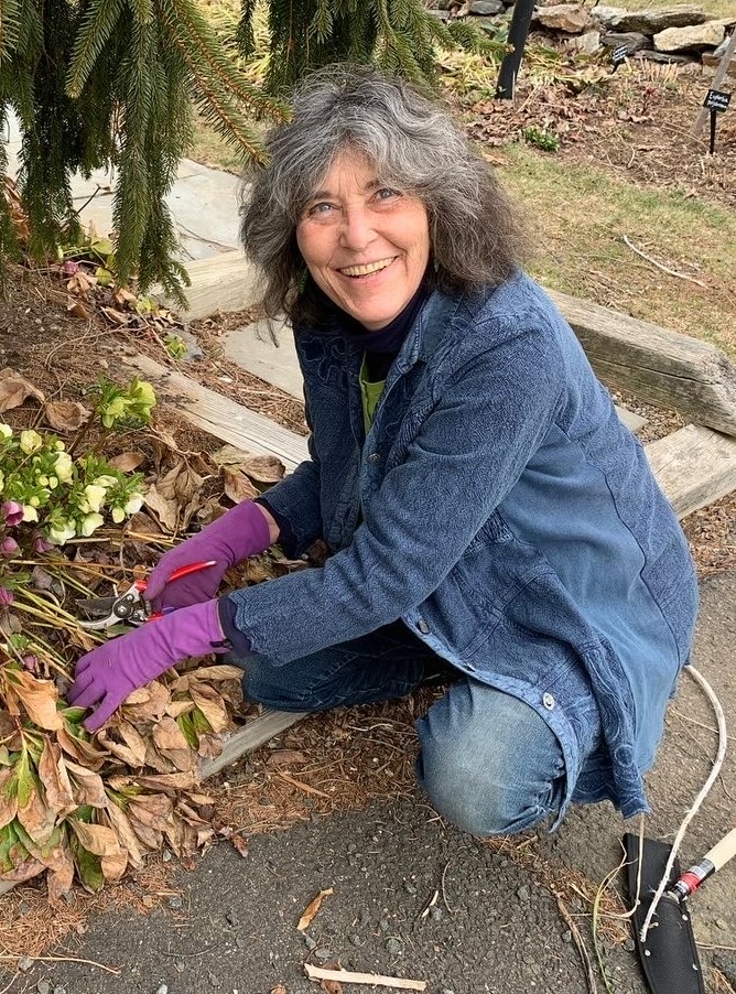 a person where a blue jacket and jeans looking up at the camera and smiling while using garden shears to trim a plant from a kneeling position. The picture was taken outside. The gloves on the subject are purple. The subject appears to be an older female. 