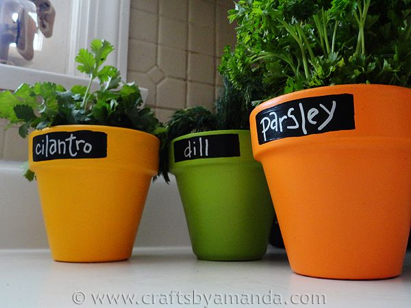 Painted Herb Pots