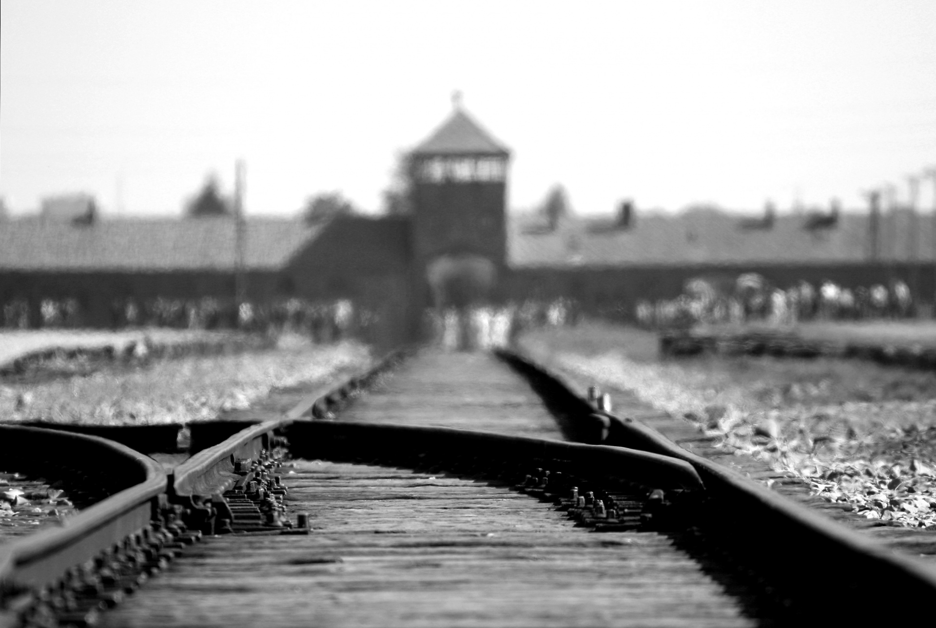 black and white photo of train tracks at Auschwitz