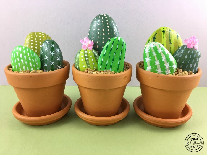 Cactus Rock Garden in Pots