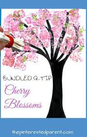 cherry bloss