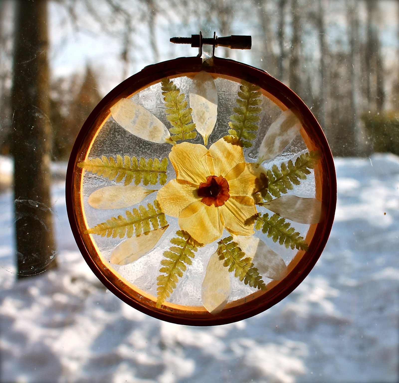 round suncatcher with pressed flowers and leaves