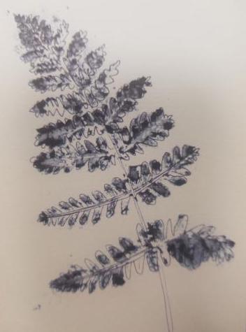 leaf ink print with outline