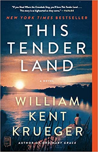 This Tender Land book