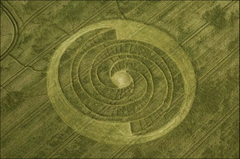 a crop circle in a green field 